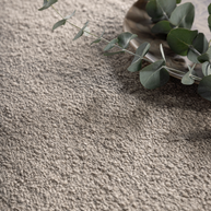 ml noble carpet taupedetail1dtp 6901265681518