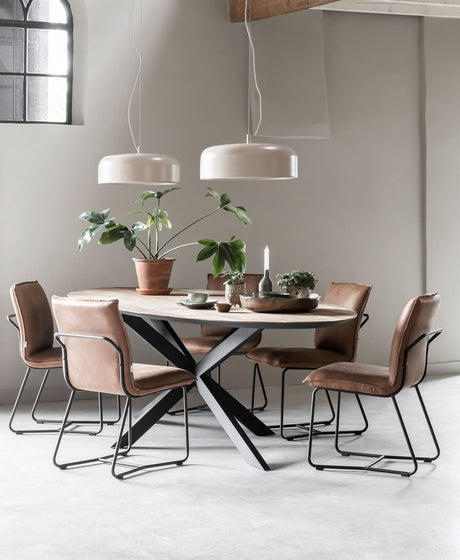 Timeless Collection DTP Home