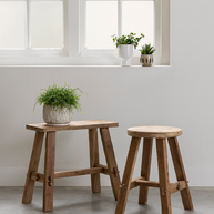 web ml 490451 antiques rinjani ml 490450 agungsf1dtp 8782515707317